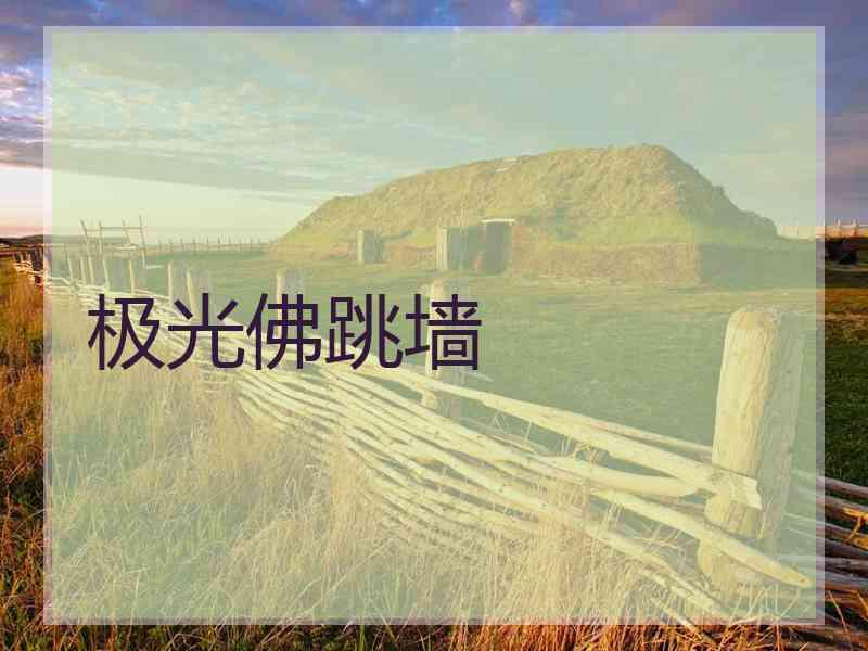 极光佛跳墙