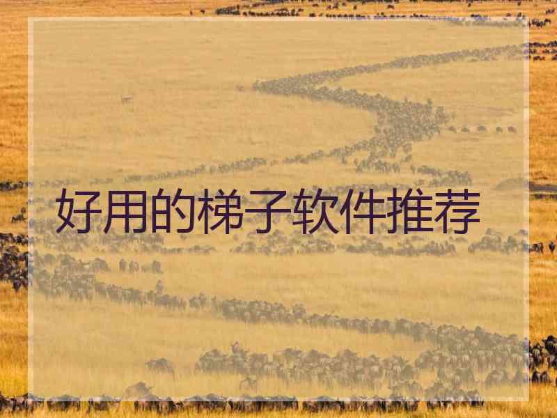 好用的梯子软件推荐
