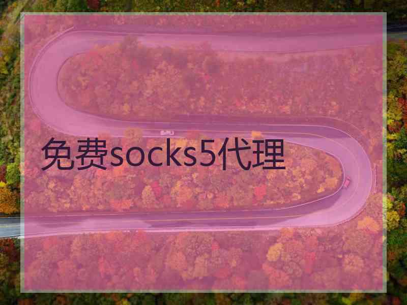 免费socks5代理