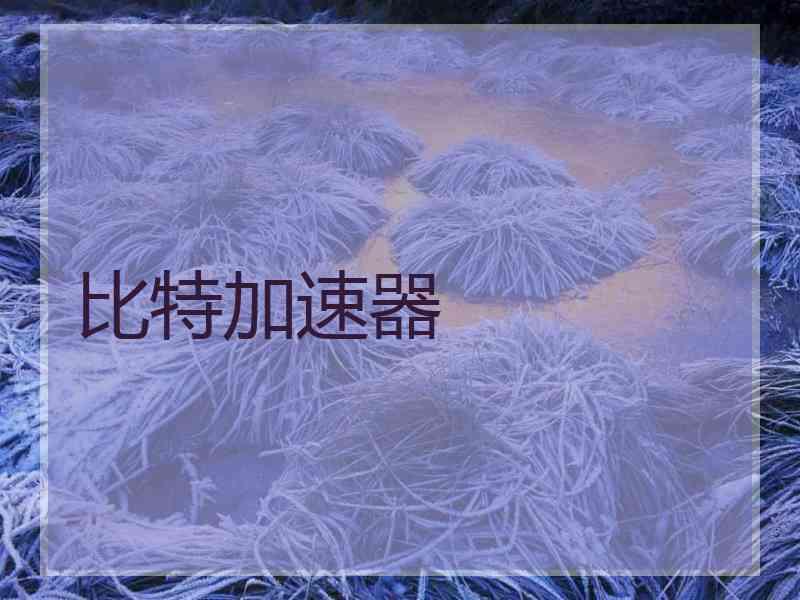 比特加速器
