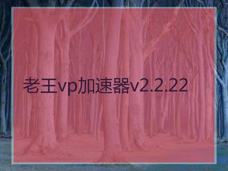 老王vp加速器v2.2.22