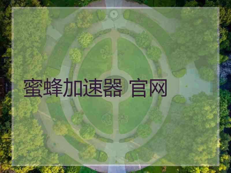 蜜蜂加速器 官网