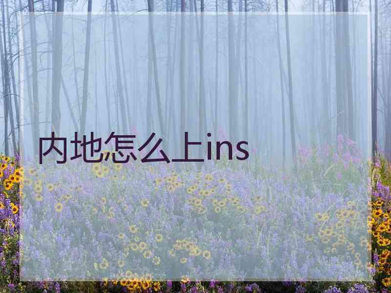 内地怎么上ins
