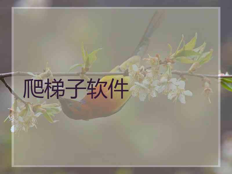 爬梯子软件