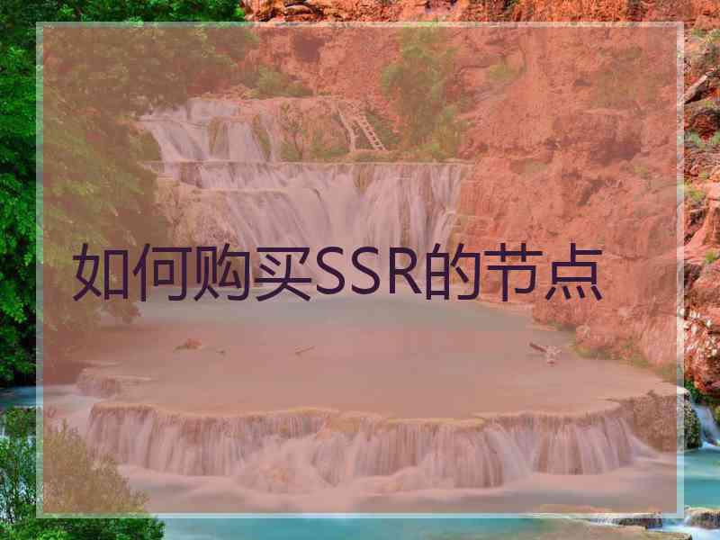 如何购买SSR的节点