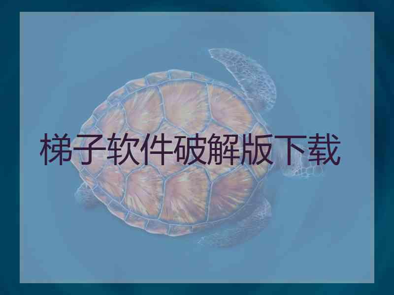 梯子软件破解版下载