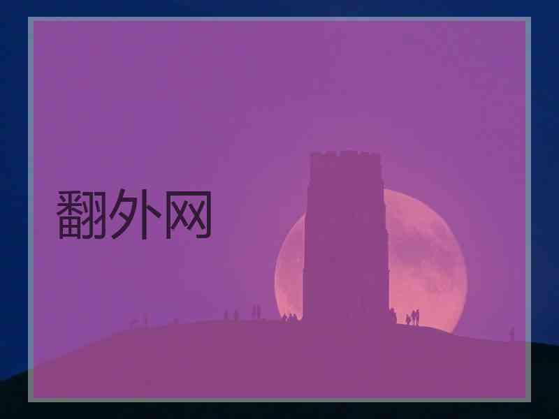 翻外网