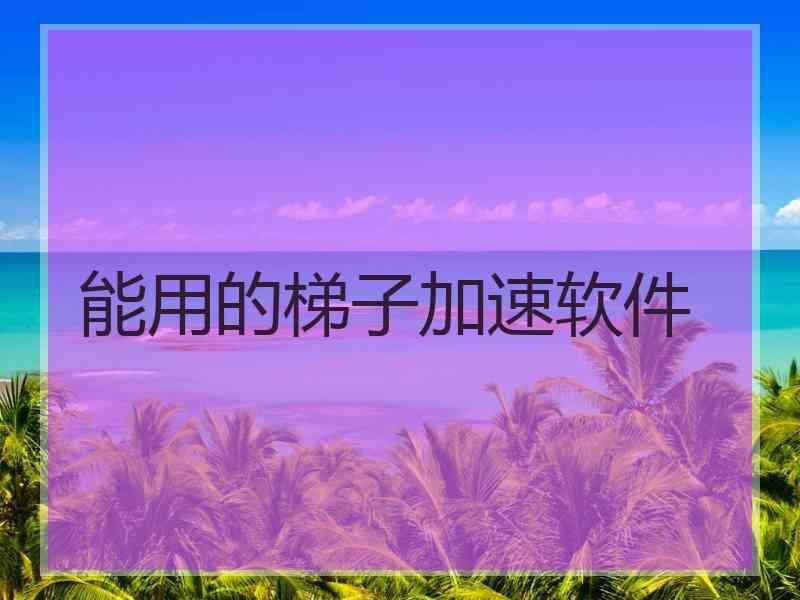 能用的梯子加速软件