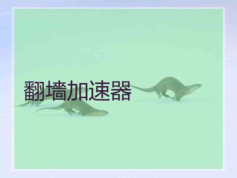翻墻加速器