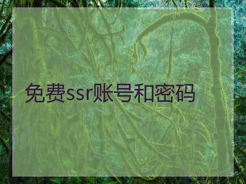免费ssr账号和密码