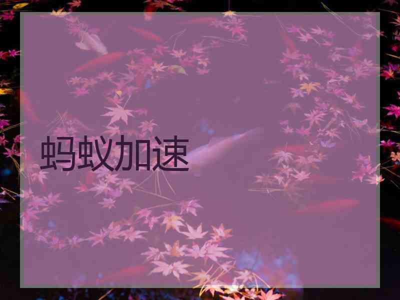 蚂蚁加速