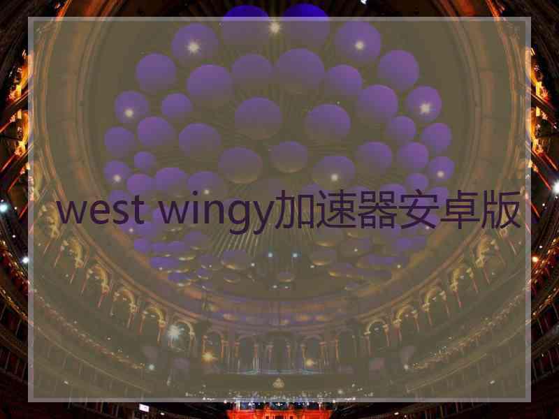 west wingy加速器安卓版