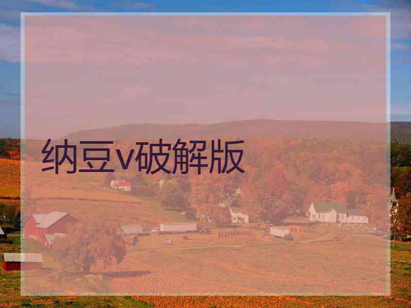 纳豆v破解版