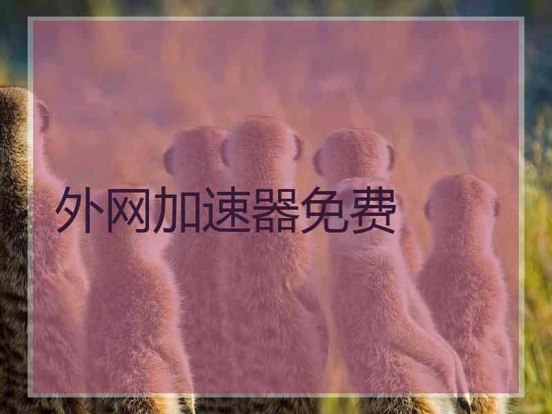外网加速器免费