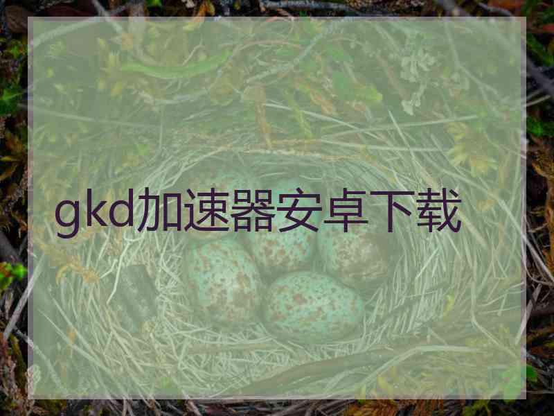 gkd加速器安卓下载