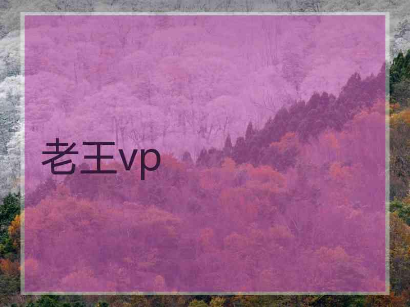老王vp