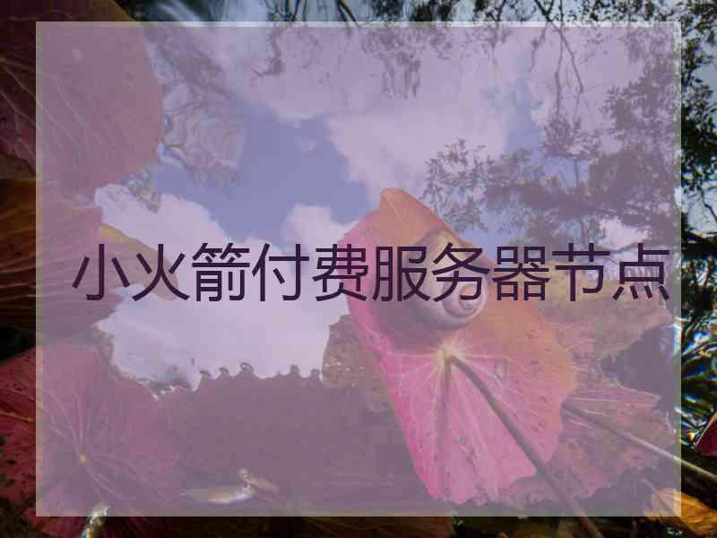 小火箭付费服务器节点