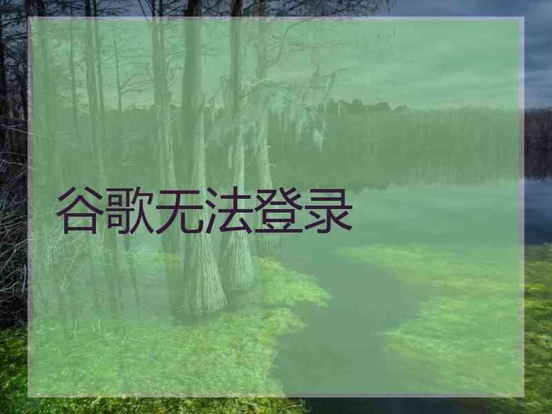 谷歌无法登录