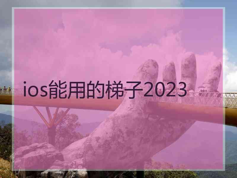 ios能用的梯子2023