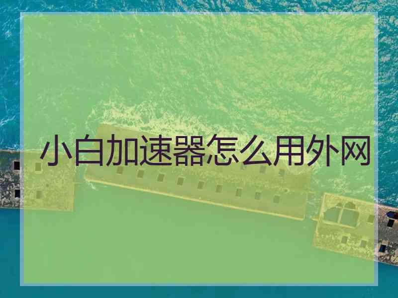小白加速器怎么用外网