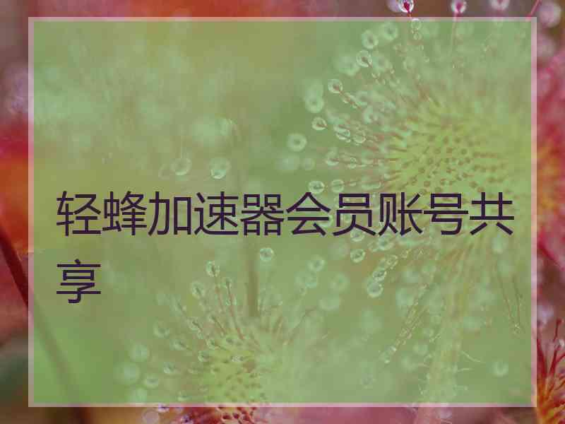 轻蜂加速器会员账号共享