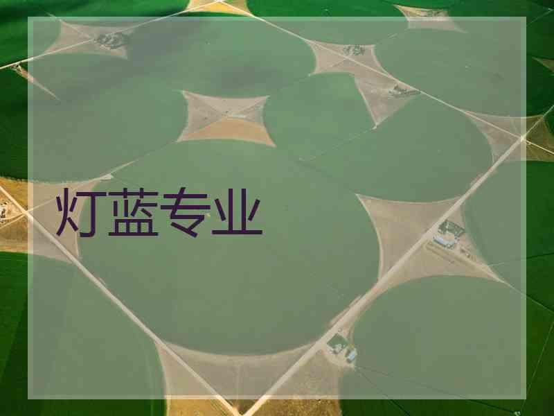 灯蓝专业