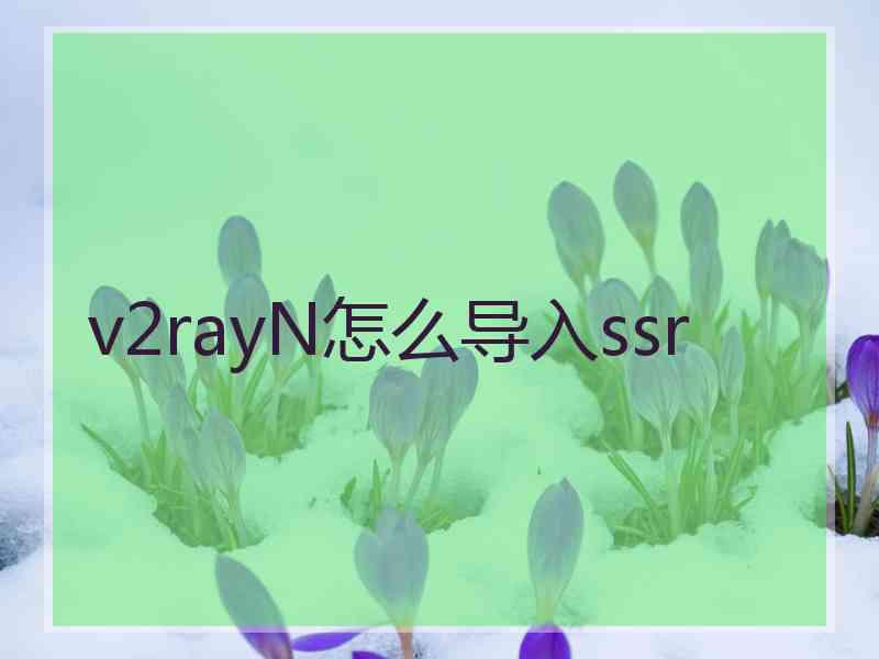 v2rayN怎么导入ssr