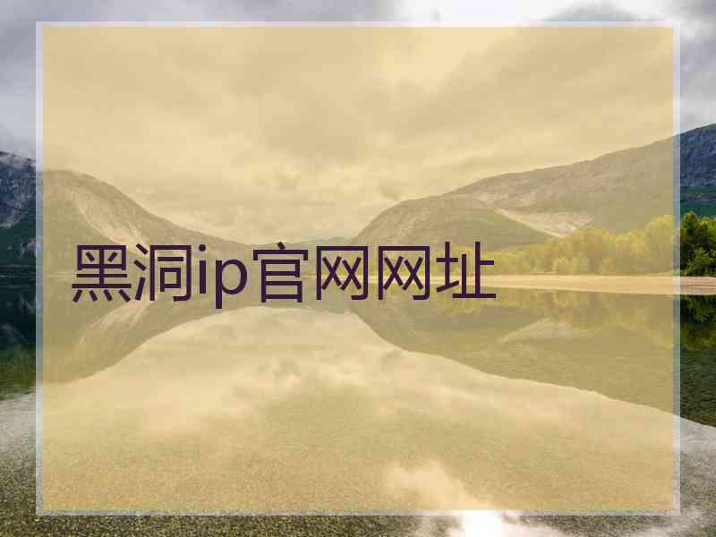 黑洞ip官网网址