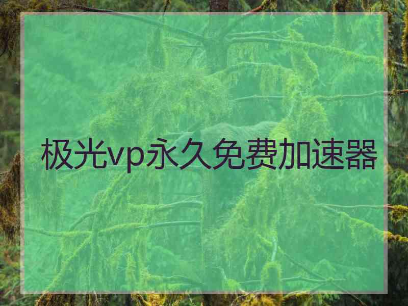 极光vp永久免费加速器