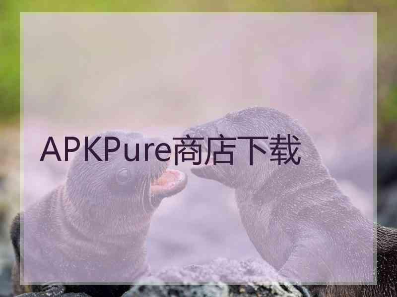 APKPure商店下载