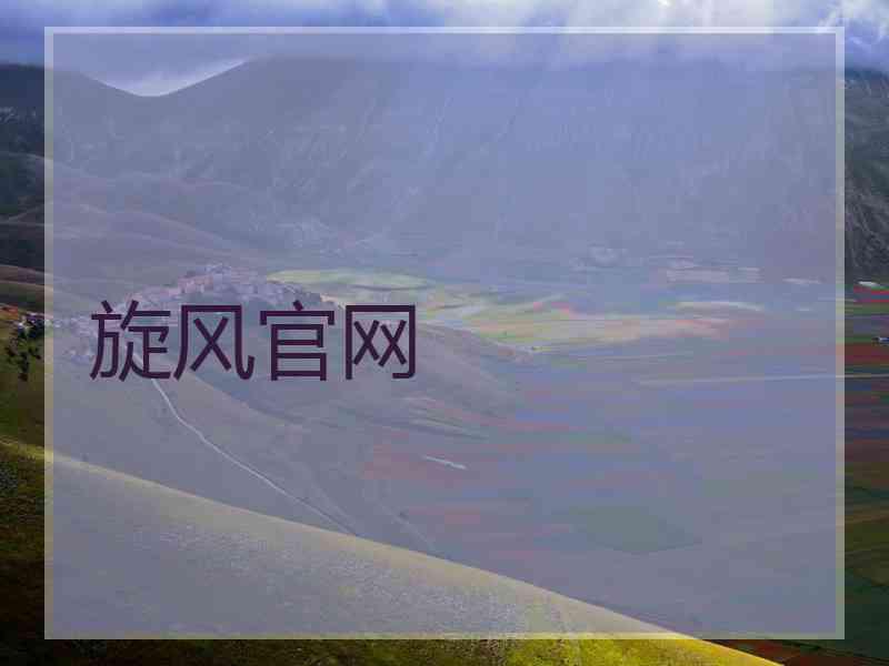 旋风官网