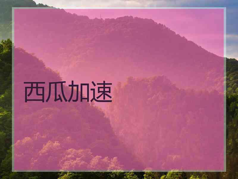 西瓜加速
