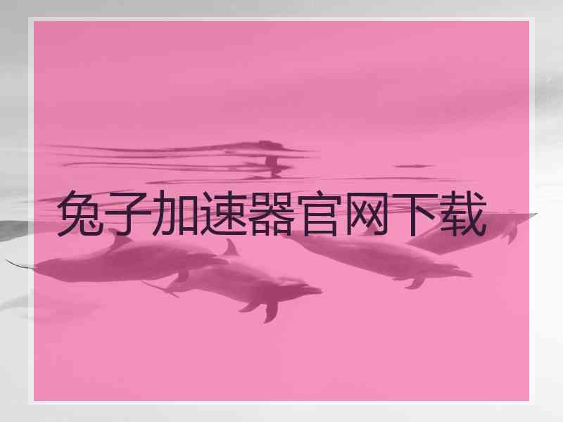 兔子加速器官网下载