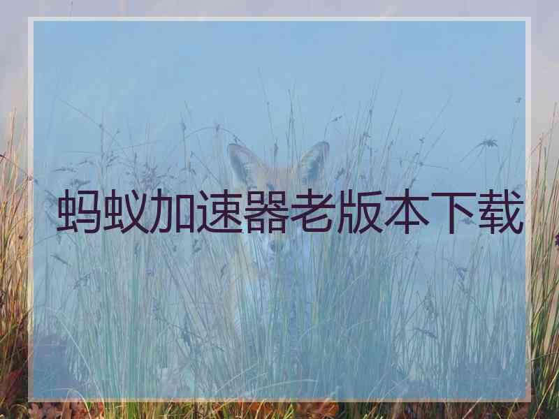 蚂蚁加速器老版本下载