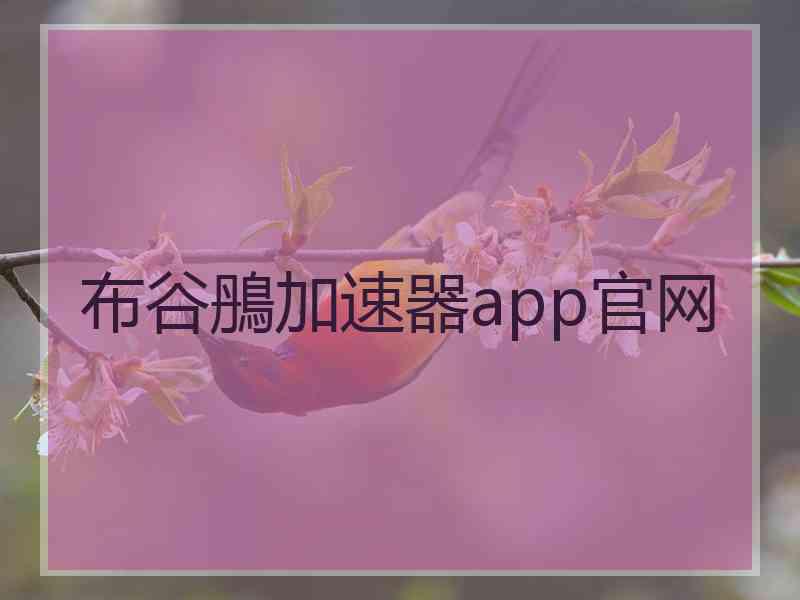布谷鴅加速器app官网
