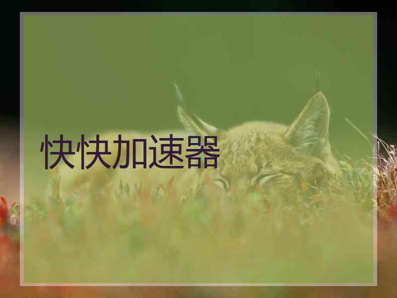 快快加速器