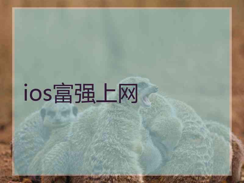 ios富强上网