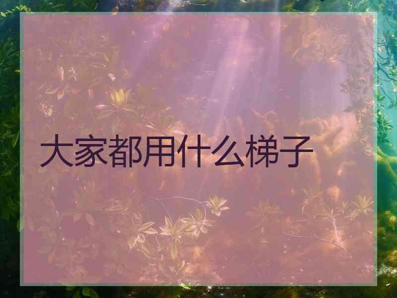 大家都用什么梯子