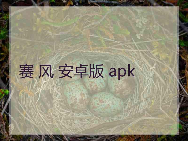 赛 风 安卓版 apk