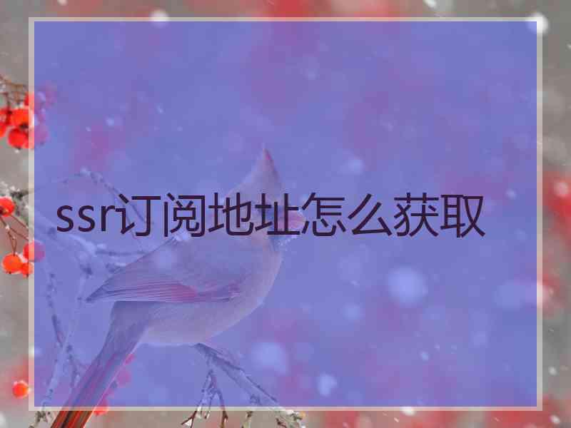 ssr订阅地址怎么获取