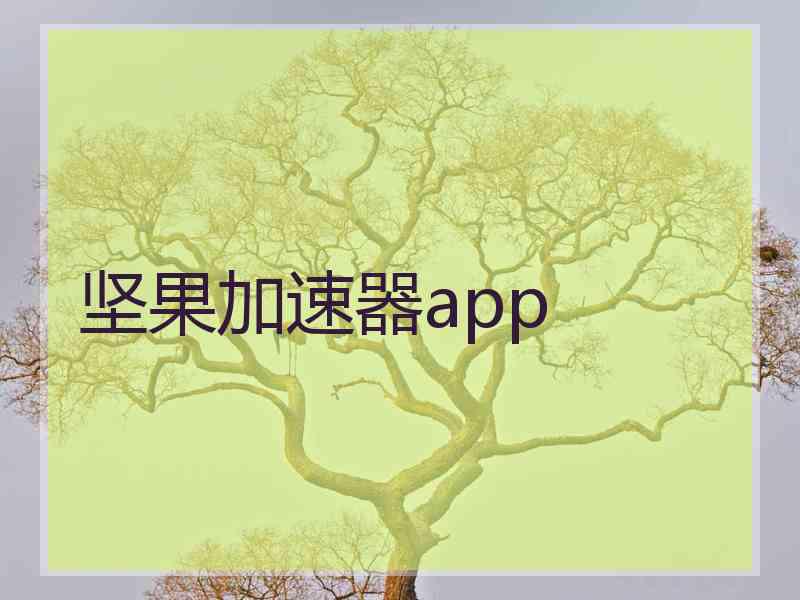 坚果加速器app