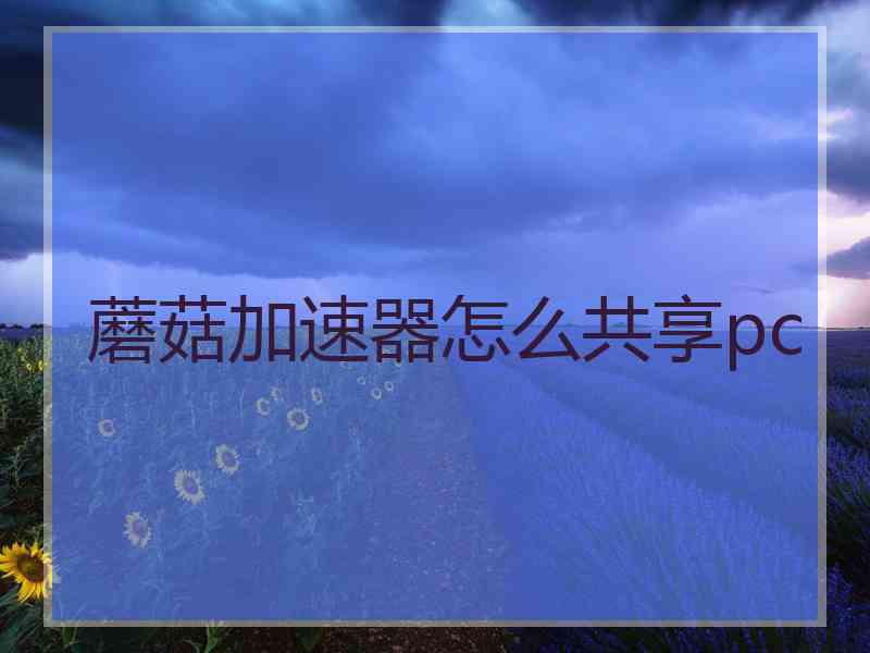 蘑菇加速器怎么共享pc