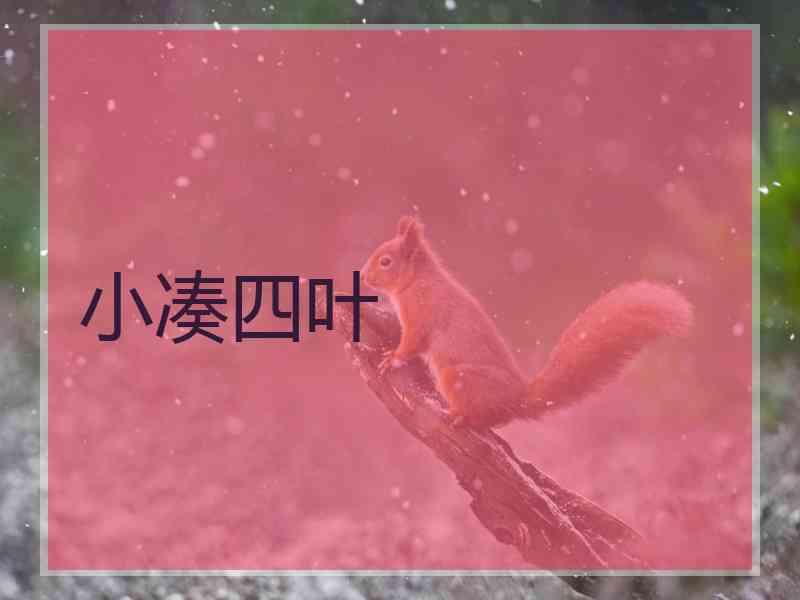 小凑四叶