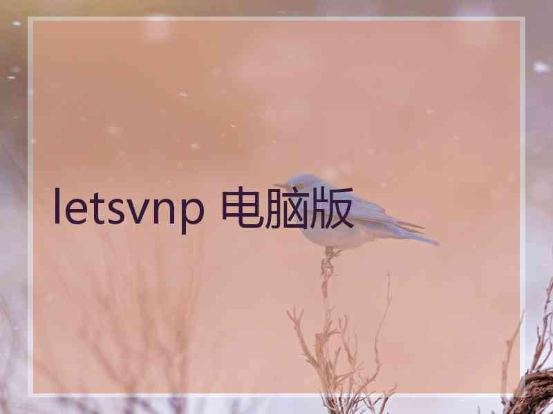 letsvnp 电脑版