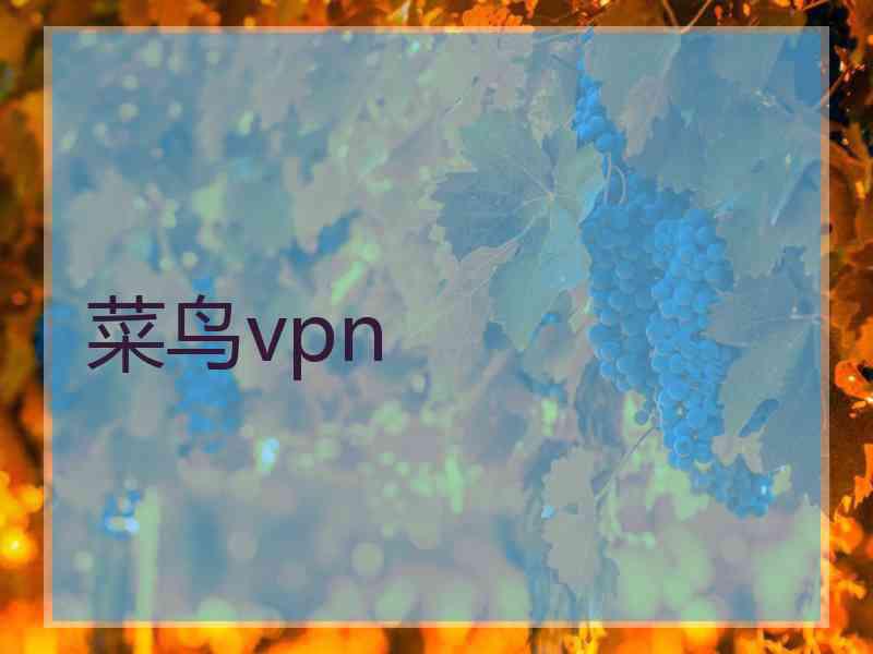 菜鸟vpn