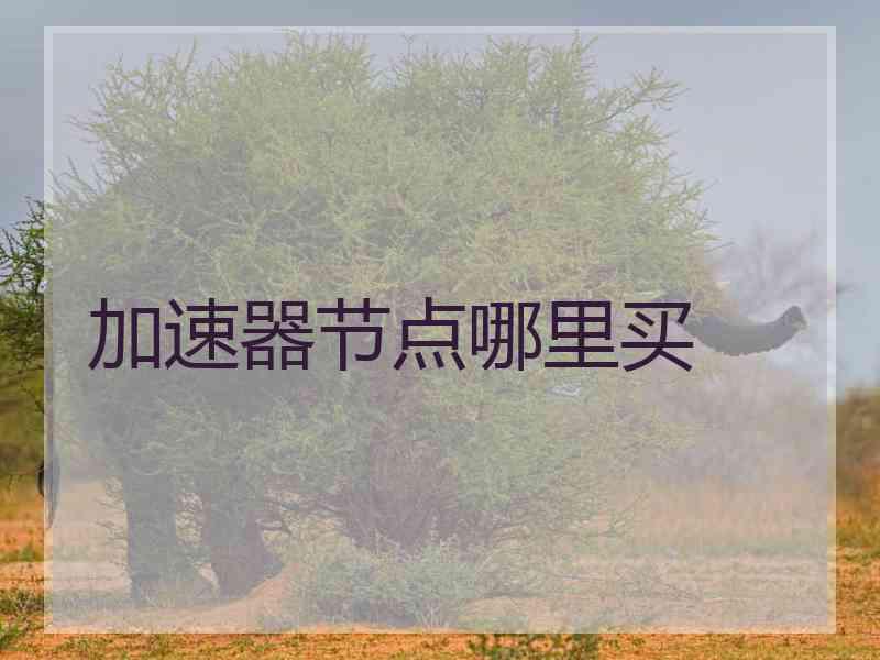 加速器节点哪里买