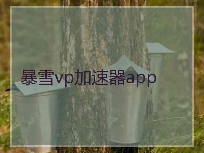 暴雪vp加速器app