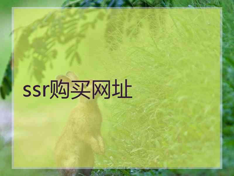 ssr购买网址