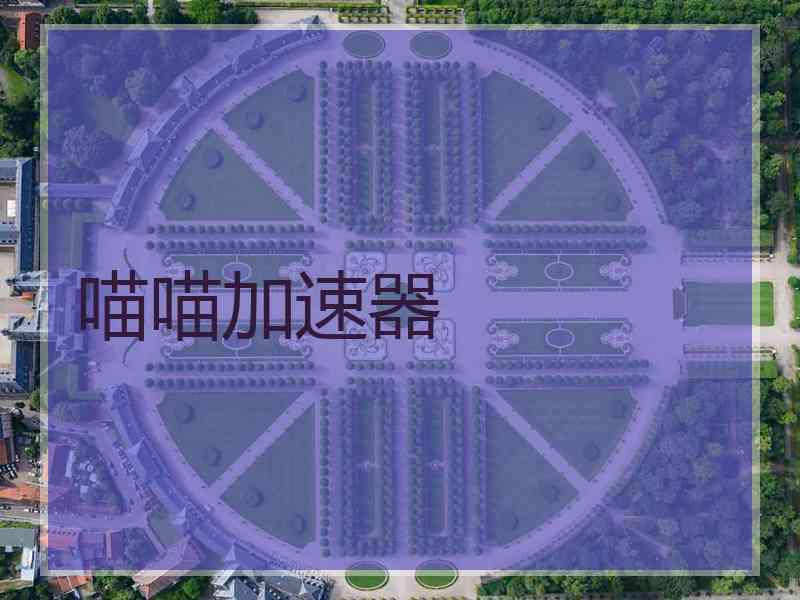喵喵加速器