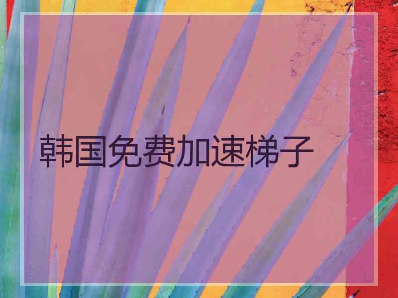 韩国免费加速梯子